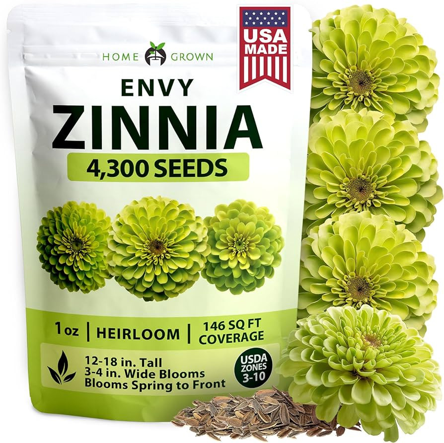HOME GROWN Envy Zinnia Seeds (1g) – 4300 Rare Lime Green Annual Zinnia Flower Seeds for Plantin... | Amazon (US)