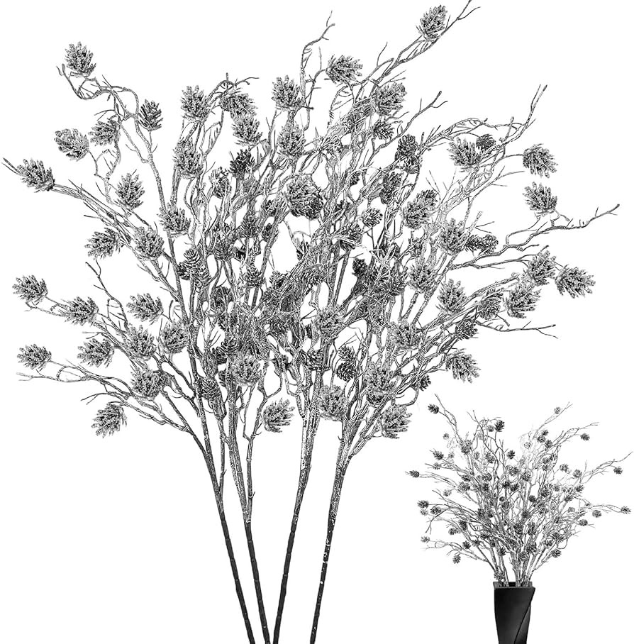 Daily Treasures | Amazon (US)