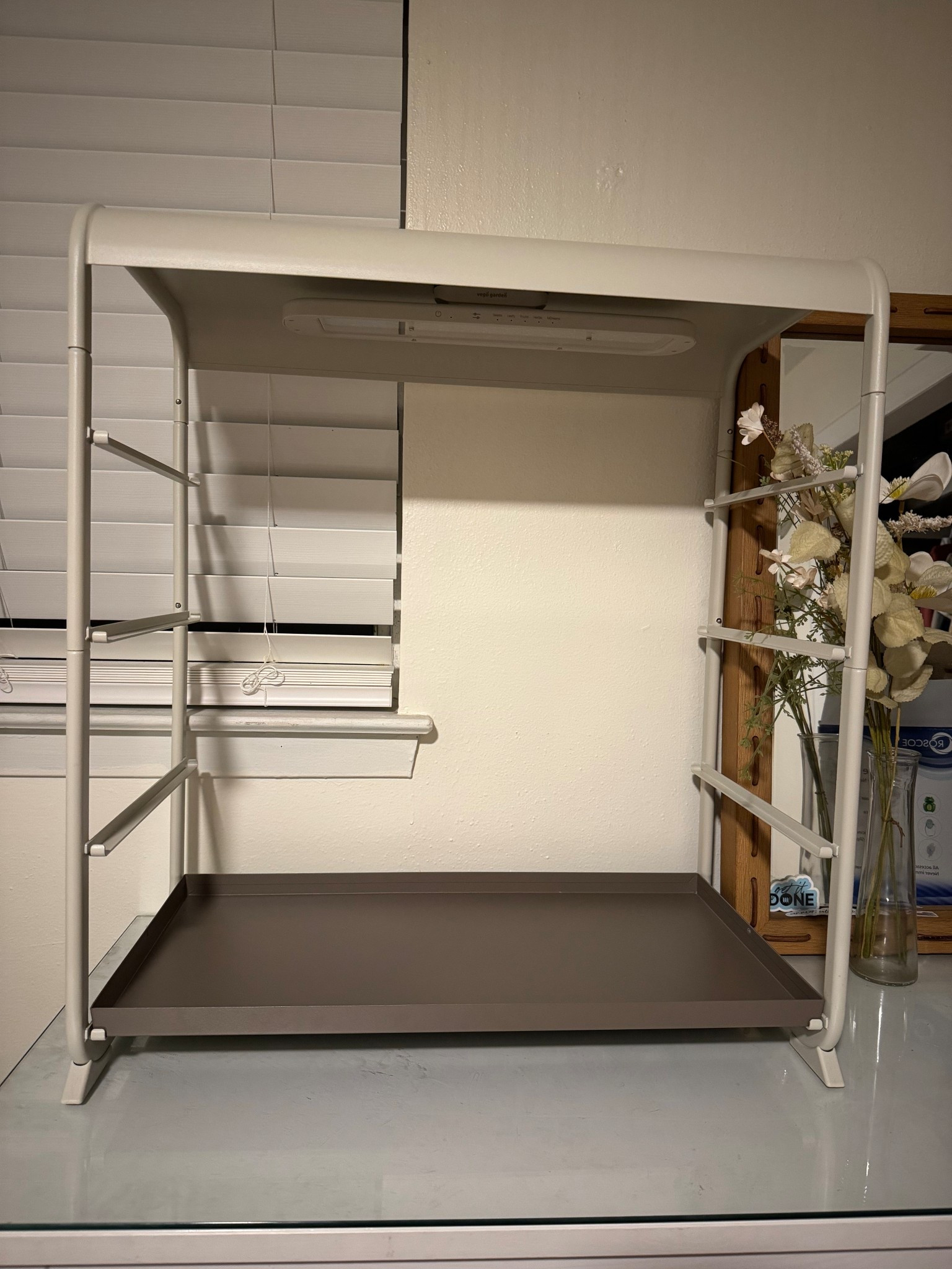 My husband looked at me funny when he saw this grow light stand in the room 😅 Needless to say, I’m ready to start growing seeds for the spring garden 🪴 

#LTKHome #LTKgrwm #LTKmomlife