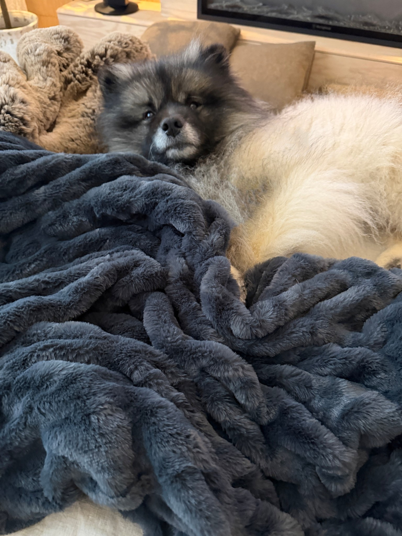 This Lola blanket is a must have and beyond super soft! 