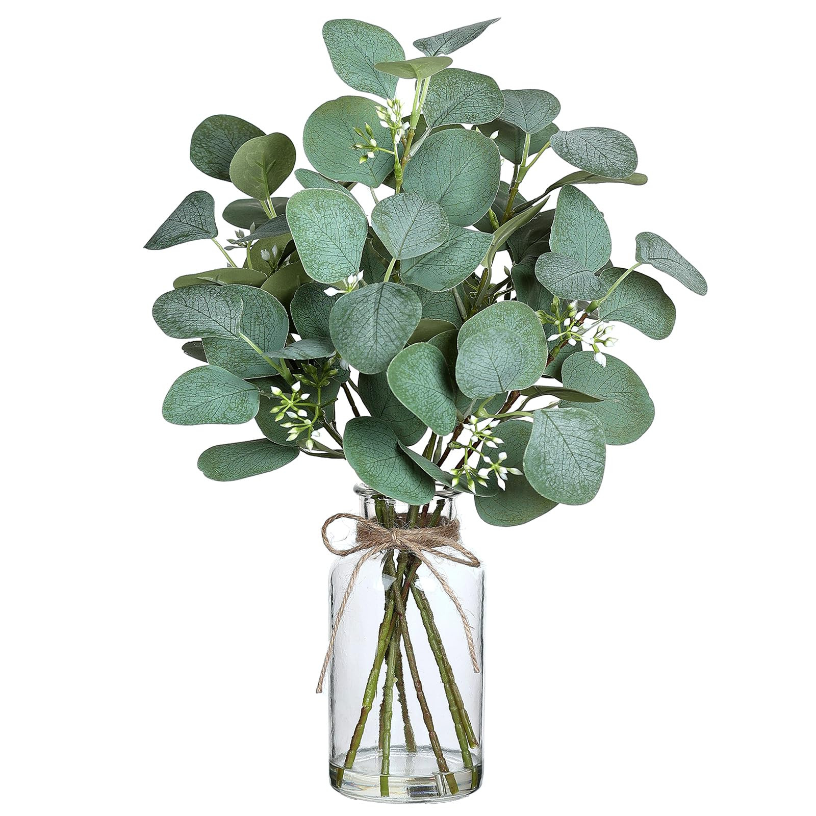 VIERENA Artificial Eucalyptus Stems in Glass Vase with Faux Water,15" Fake Plant Eucalyptus Leave... | Amazon (US)