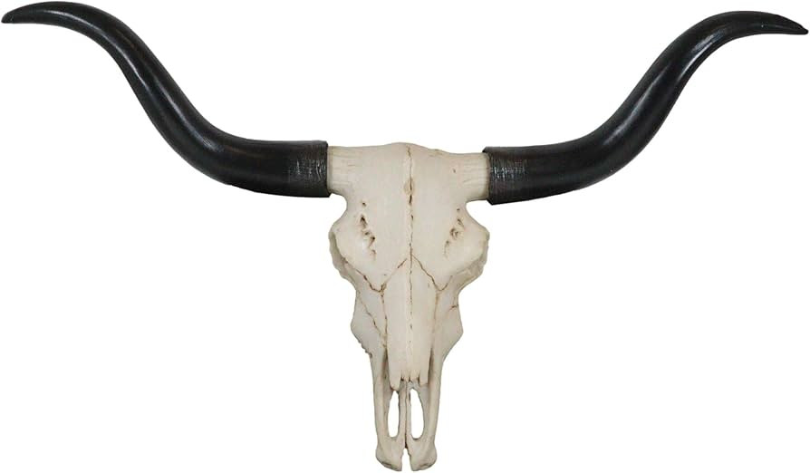 Ebros Gift Texas Longhorn Steer Cattle Cow Skull Wall Mounted Hanging Plaque Figurine 21" Wide As... | Amazon (US)