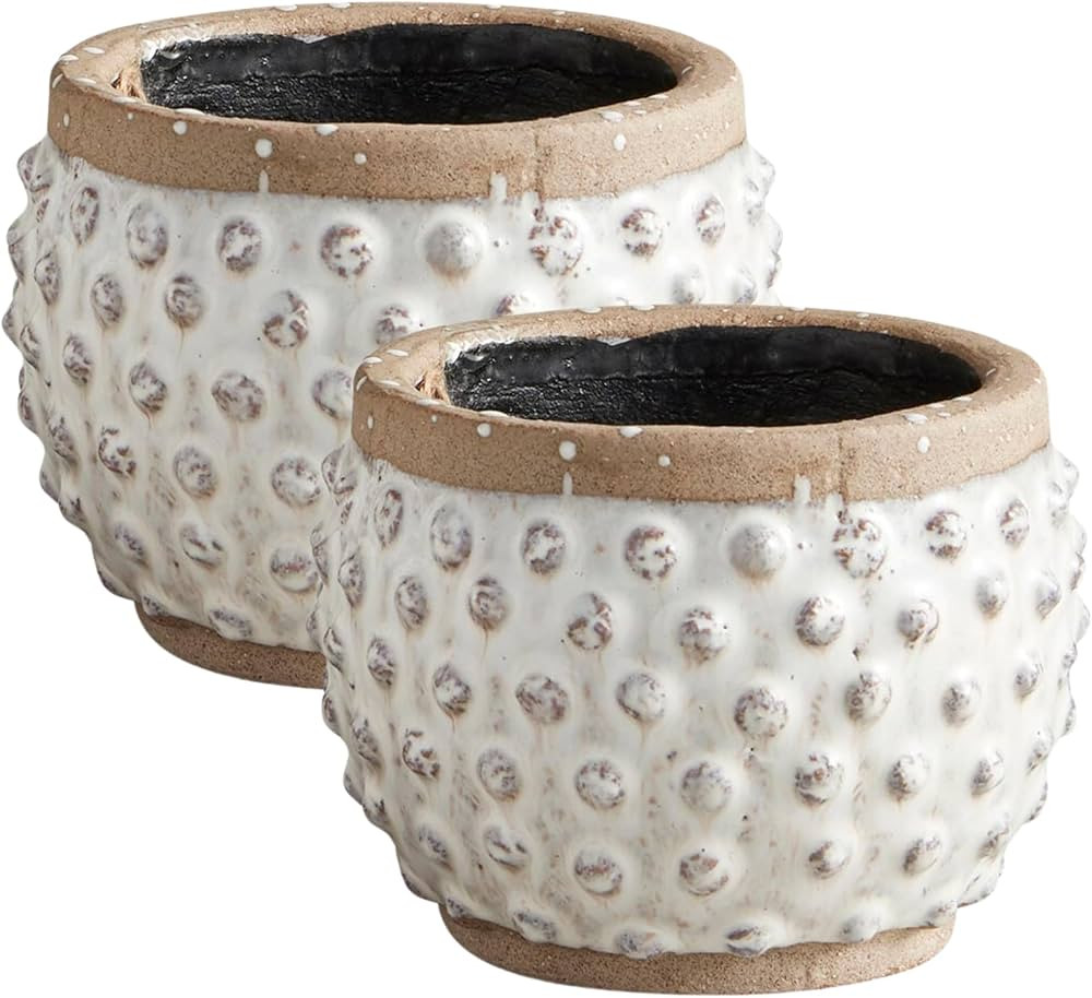 Needzo Rustic Charm Ceramic Polka Dot Flower Pots, Unique Planter Decor, 5.5 x 4 Inches | Amazon (US)