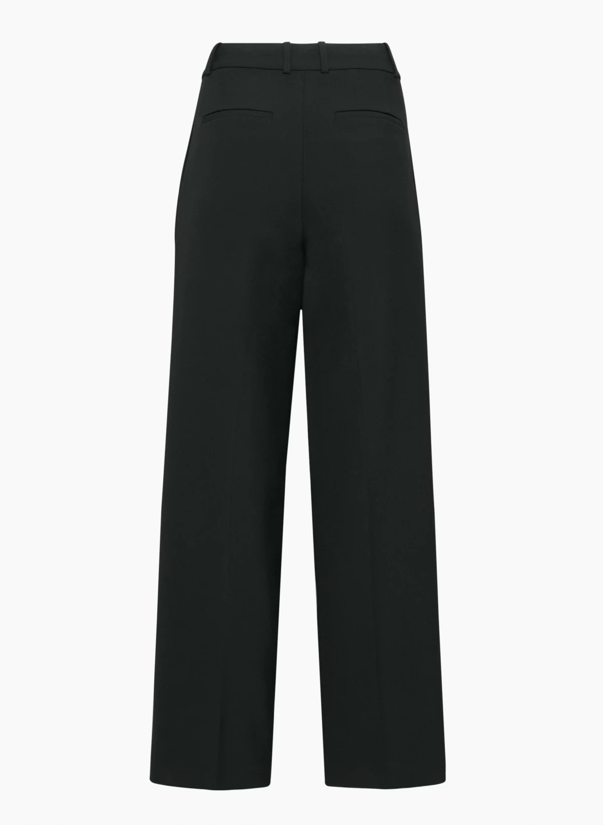 PLEATED PANT | Aritzia