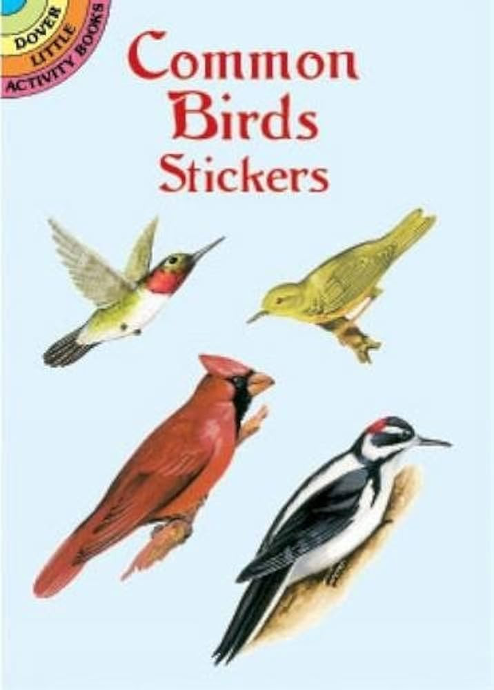 Common Birds Stickers (Dover Little Activity Books Stickers) | Amazon (US)