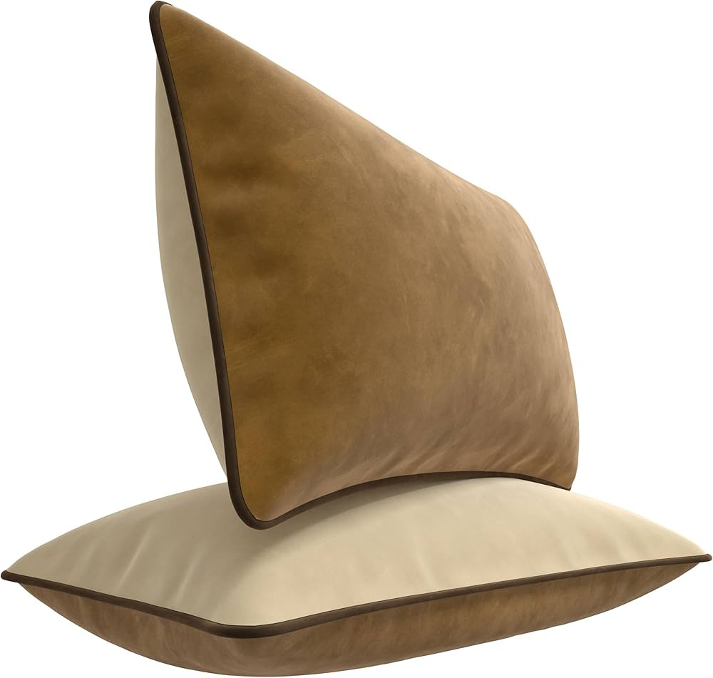 Set of 2 Decorative Throw Pillow Covers Cushion Cases. Soft Velvet. Contrast Pipping Edge. Fillin... | Amazon (US)