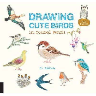 Drawing Cute Birds in Colored Pencil - by  Ai Akikusa (Paperback) | Target