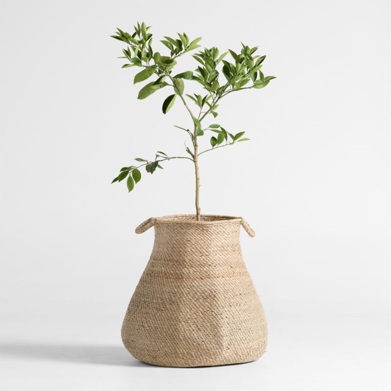 Nes Round Woven Basket 25" by Brigette Romanek + Reviews | Crate & Barrel | Crate & Barrel