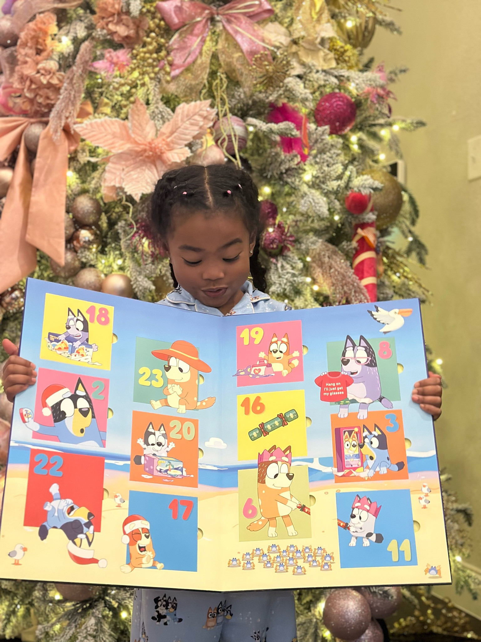 Bluey Advent calendar 

#LTKGiftGuide #LTKKids #LTKFamily