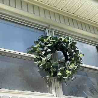 24&#34; Faux Seeded Eucalyptus Wreath - Hearth &#38; Hand&#8482; with Magnolia | Target