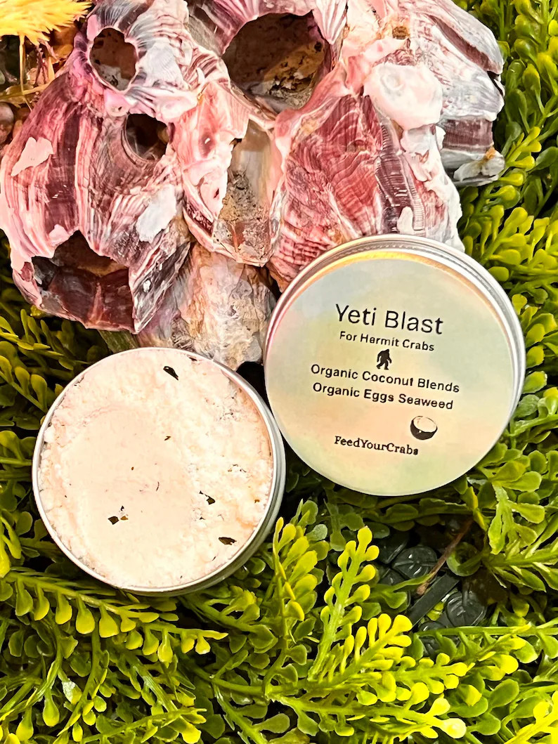 Yeti Blast with Coconut and seaweed for hermit crabs. | Etsy (Global)