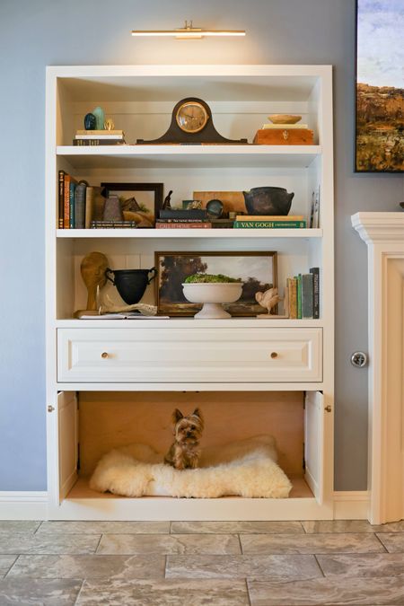 Built-in Shelf Styling 

living room decor | rustic styling | antique decor | cottage core | hidden dog bed

#LTKFindsUnder50 #LTKFamily #LTKHome