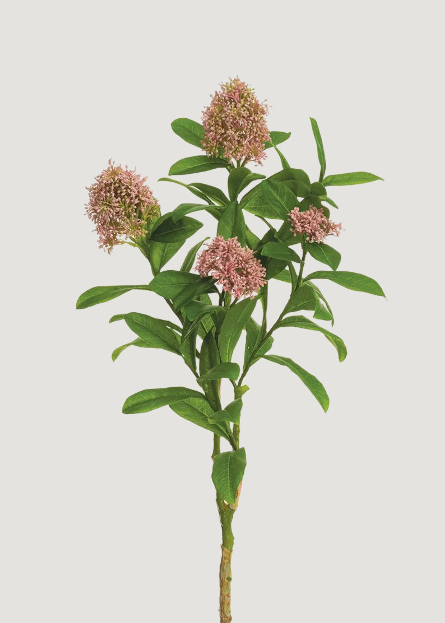 Artificial Skimmia Flower Cluster Branch in Mauve - 26" | Afloral
