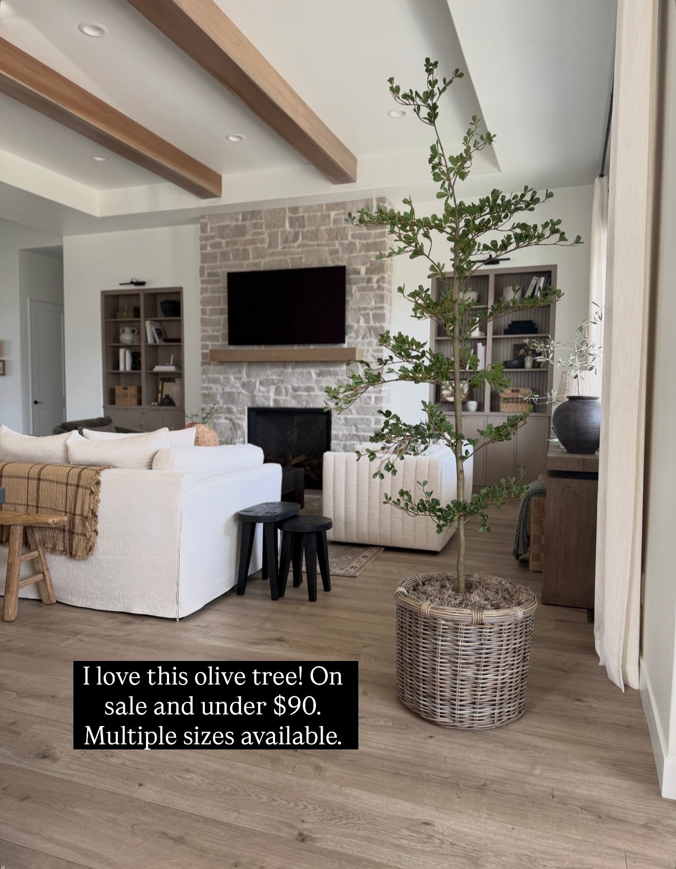 Our olive tree is on sale!

#LTKHome #LTKSaleAlert