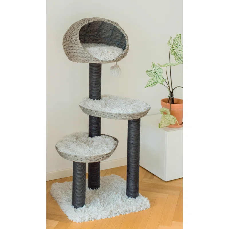50" Amagansett Cat Condo | Wayfair North America