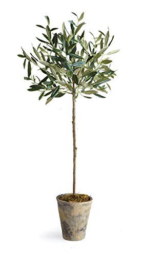 Napa Home & Garden Olive Tree in Pot, 30-Inch | Amazon (US)