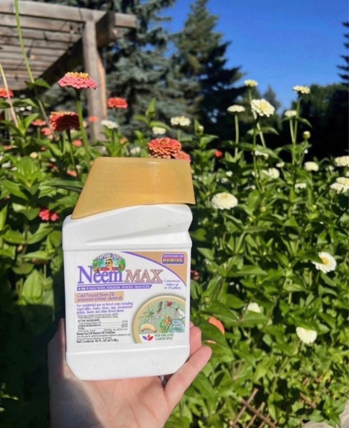 Neem oil has become a huge staple in my garden 🌿 I love having it nearby so I’m ready whenever I notice a plant could use a little extra attention!

#LTKSaleAlert #LTKSeasonal #LTKHome