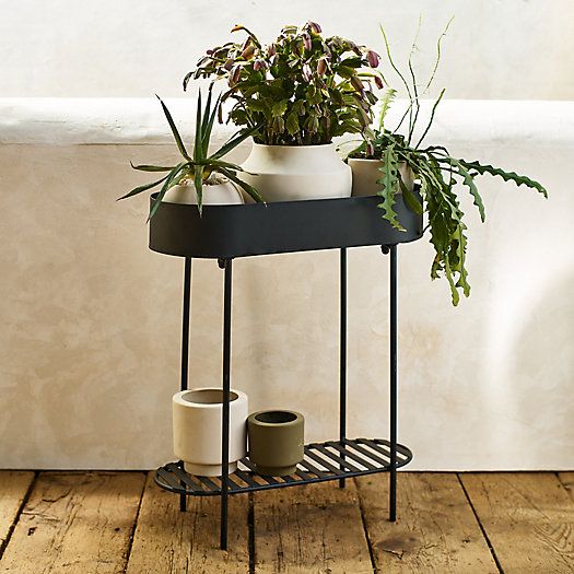 Oval Iron Plant Stand with Shelf | Terrain