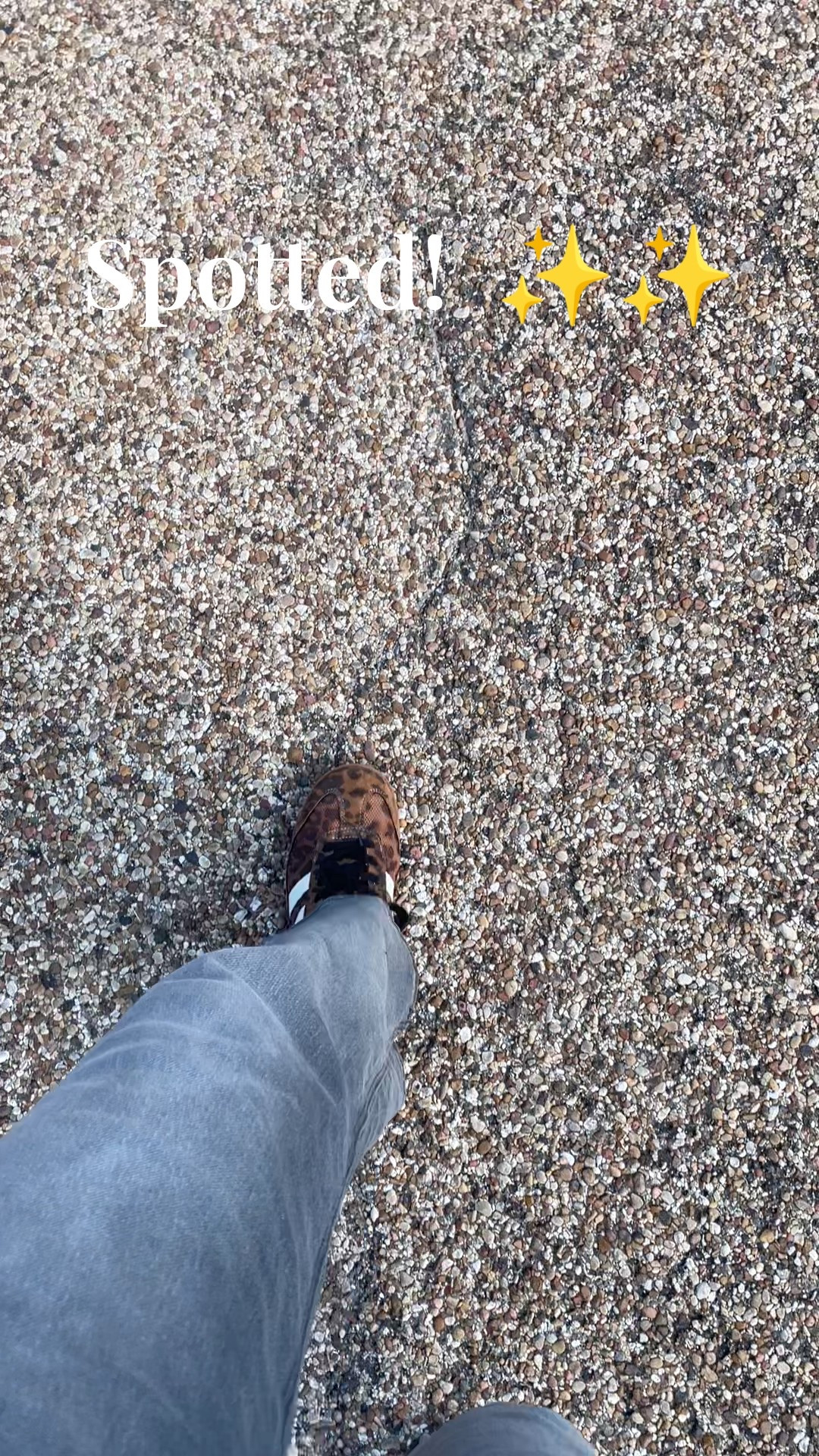 Leopard really is a neutral 🐆✨ These chic little shoes add the perfect pop to any outfit—casual or dressed up. As a woman over 40, I’m all about pieces that feel fun and timeless, and these check both boxes. 🤎🖤

You can shop these exact shoes + more outfit inspo right here on my LTK! 💃

#LTKOver40 #LeopardStyle #ChicAndTimeless #OOTDInspo #LTKFinds #WomenOver40Style #NeutralWithAPop #ClassicWithATwist

#LTKOver40 #LTKShoeCrush #LTKFindsUnder50