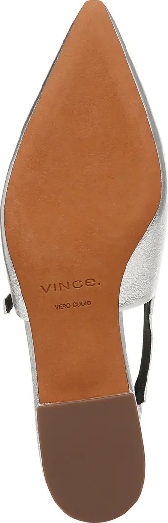 Iliana Slingback Pointed Toe Flat (Women) | Nordstrom