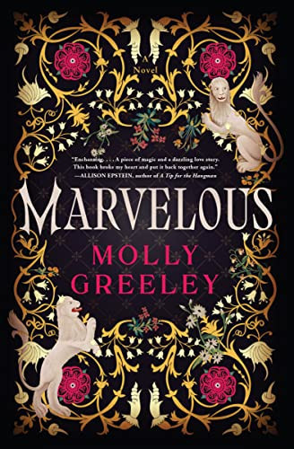 Marvelous: A Novel | Amazon (CA)