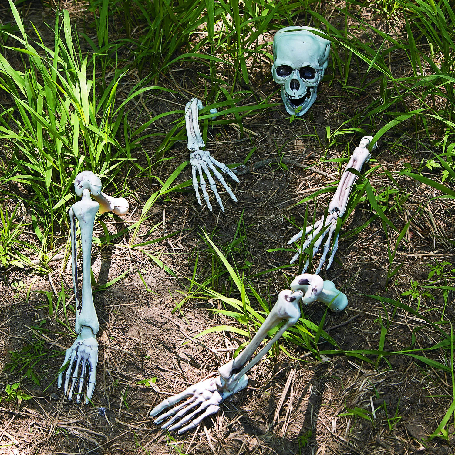 9-Piece Skeleton Yard Figurine Set | Wayfair North America