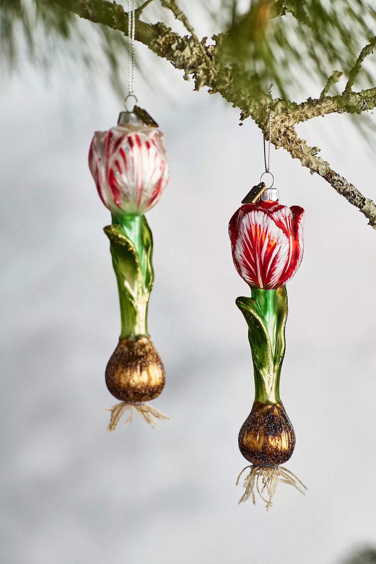 Red Tulip Bulb Glass Ornament | Anthropologie (US)