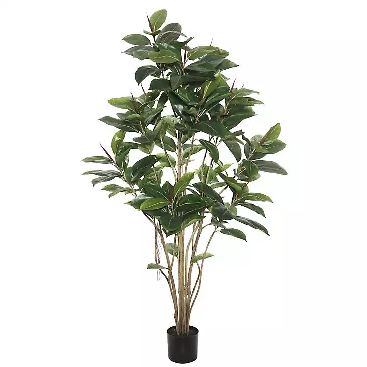 Potted Green Rubber Tree, 5 ft. | Kirkland's Home