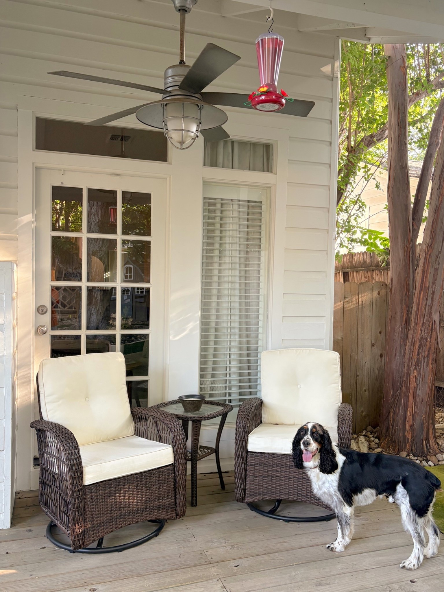 Outdoor Furniture you need 💛

#home #outdoorfurniture #summernights