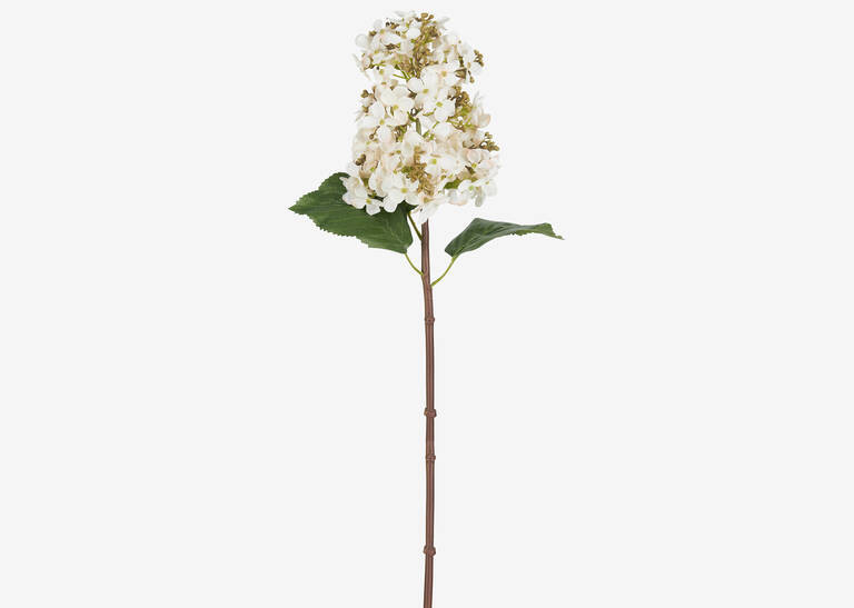 Beth Cone Hydrangea Stem White | Urban Barn