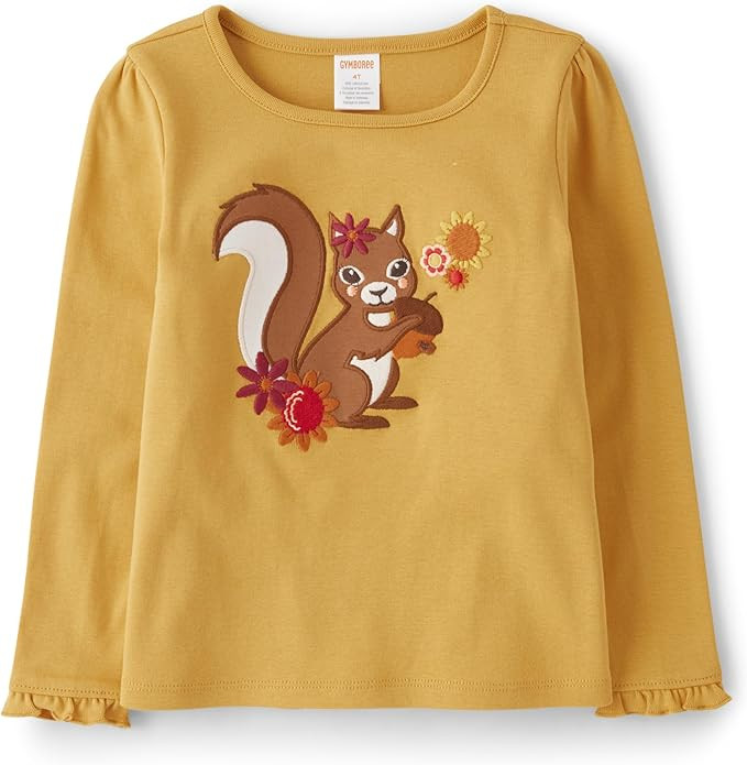 Gymboree Girls' and Toddler Embroidered Graphic Long Sleeve T-Shirts | Amazon (US)