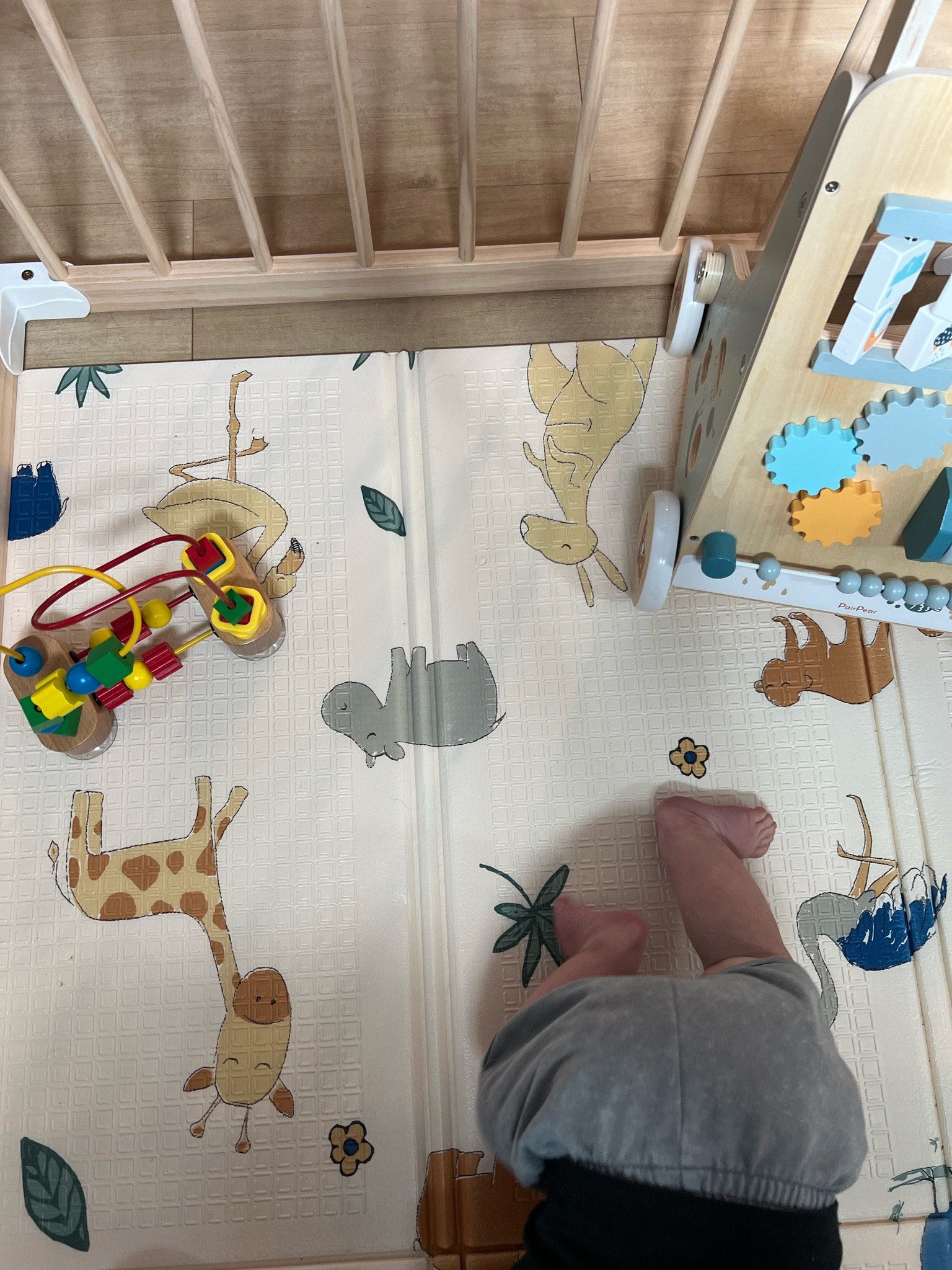 What’s in our baby play pen? 7 month old edition! 



#LTKFamily #LTKKids #LTKBaby