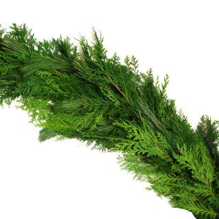 VAN ZYVERDEN 25 ft. Live Fresh Cut Pacific Northwest Princess Pine and Cedar Mix Coil Holiday Garlan | The Home Depot