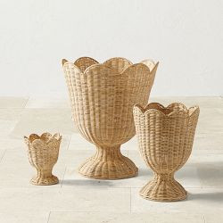 Shop All | Williams-Sonoma