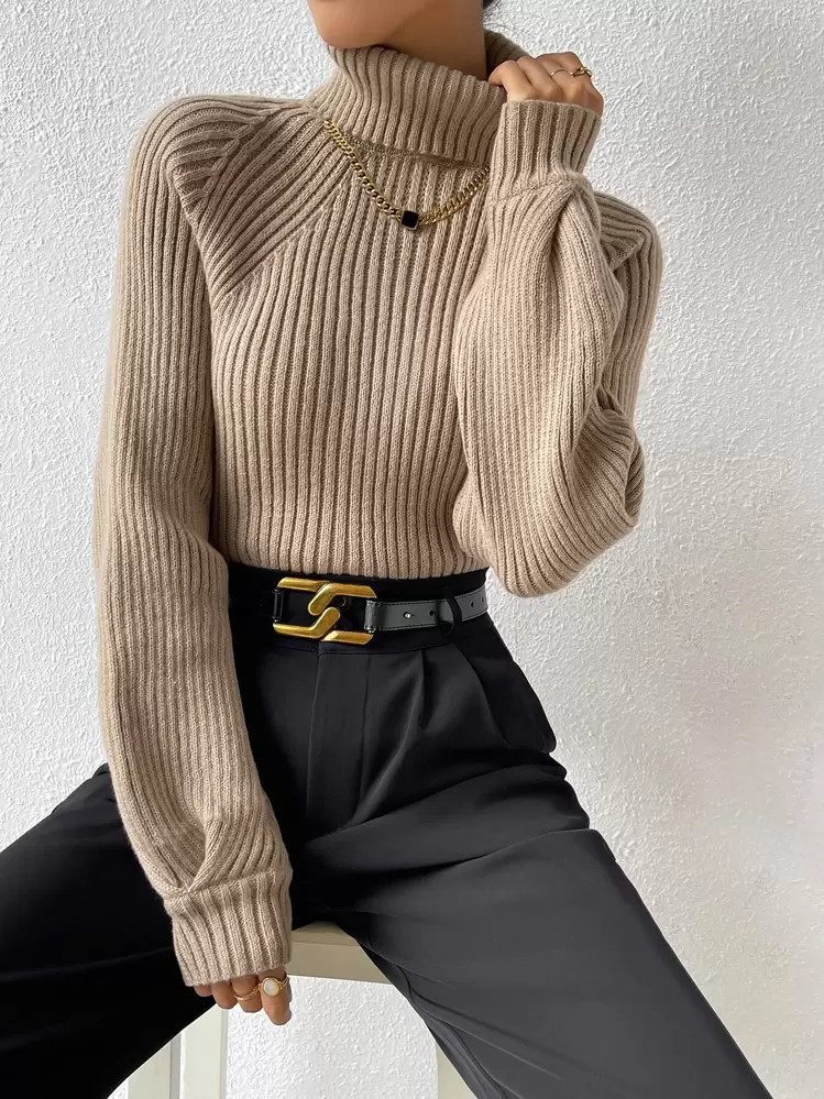 SHEIN Raffinéa Turtleneck Raglan Sleeve Ribbed Knit Sweater,Long Sleeve Tops | SHEIN