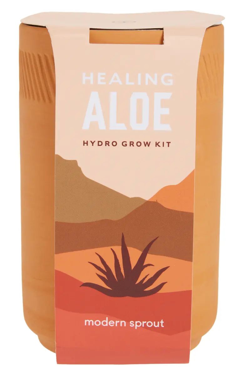 Modern Sprout Healing Aloe Terra Cotta Hydro Grow Kit | Nordstrom | Nordstrom