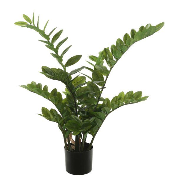 Vickerman 36" Potted Green Zamifolia Bush with 166 Leaves | Walmart (US)
