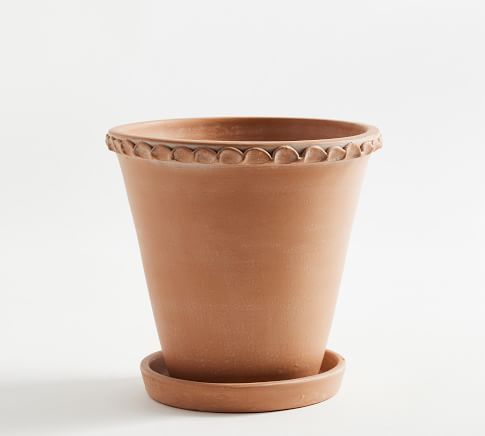 Provence Scalloped Edge Planter - Terra Cotta | Pottery Barn (US)