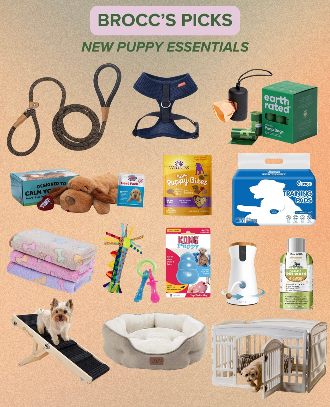 New puppy parent essentials! 🐾

#LTKHome #LTKFindsUnder50 #LTKFamily