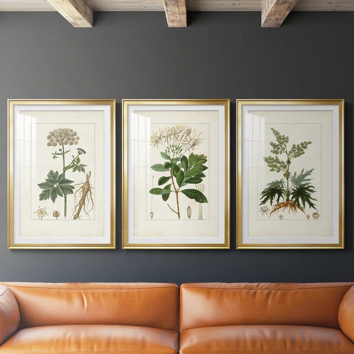Antique Turpin Botanical I  -Custom Framed  Premium Print W Matt - 3 Pieces (Set of 3) | Wayfair North America