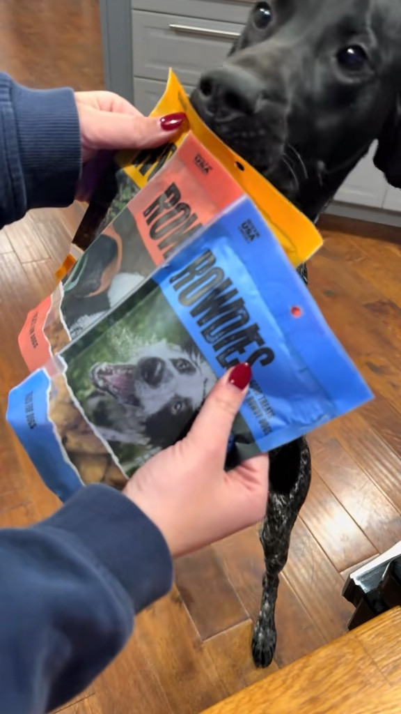 New treats from Target! Archie approves 🫶🏼

#LTKfoodie #LTKdayinmylife #LTKValentine