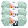 Click for more info about 3 Pack Lion Brand® Vanna's Choice® Solid Yarn