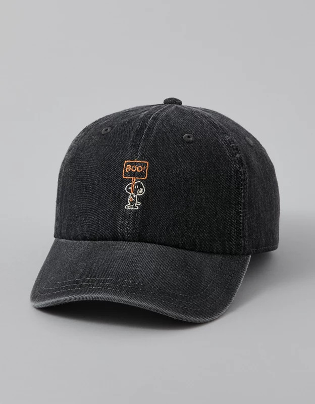 AE Snoopy Baseball Hat | American Eagle Outfitters (US & CA)