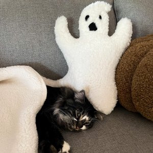 Ghost Shaped Pillow | Pottery Barn (US)