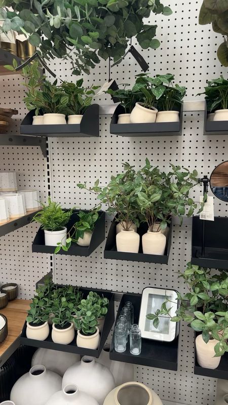 Perfect Airbnb decor faux plants at Target

#LTKunder50 #LTKunder100 #LTKhome