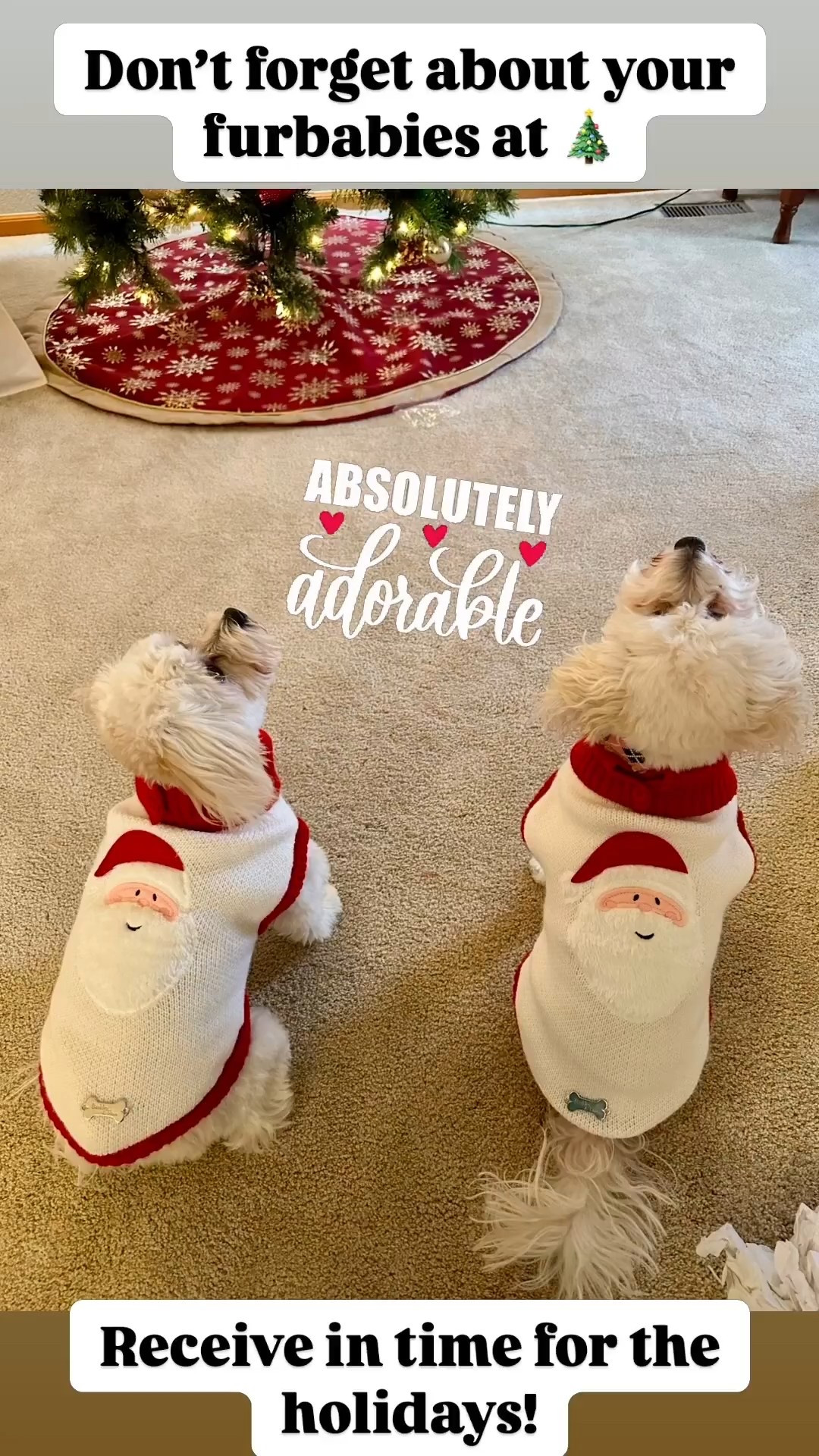 Holiday Dog Outfits 

Holiday outfits for your pup? Yes please 🎄🐾
From festive dog dresses and cozy sweaters to the cutest holiday bandannas, these picks are perfect for Christmas photos, family gatherings, and all the seasonal fun.

Whether you’re dressing up for a holiday party or just want your dog to be part of the festive vibes, these pieces are comfy, cute, and totally photo-ready ❤️🐶

holiday dog outfits, Christmas dog clothes, dog Christmas dress, dog holiday sweater, dog bandana, pet holiday apparel, dog Christmas outfit, small dog clothes, festive dog outfits, pet gifts

#dogsofinstagram
#dogfashion
#dogstyle
#petfashion
#holidaydog
#christmasdog
#dogchristmas
#dogoutfit
#dogmomlife
#ltkpets 

#LTKFindsUnder50 #LTKGiftGuide #LTKHoliday