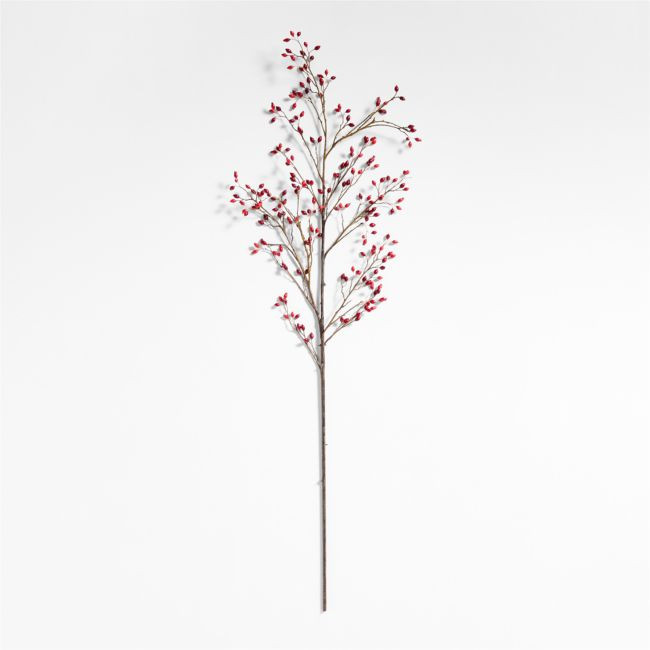 Red Rose Hip Holiday Stem 60 | Crate & Barrel