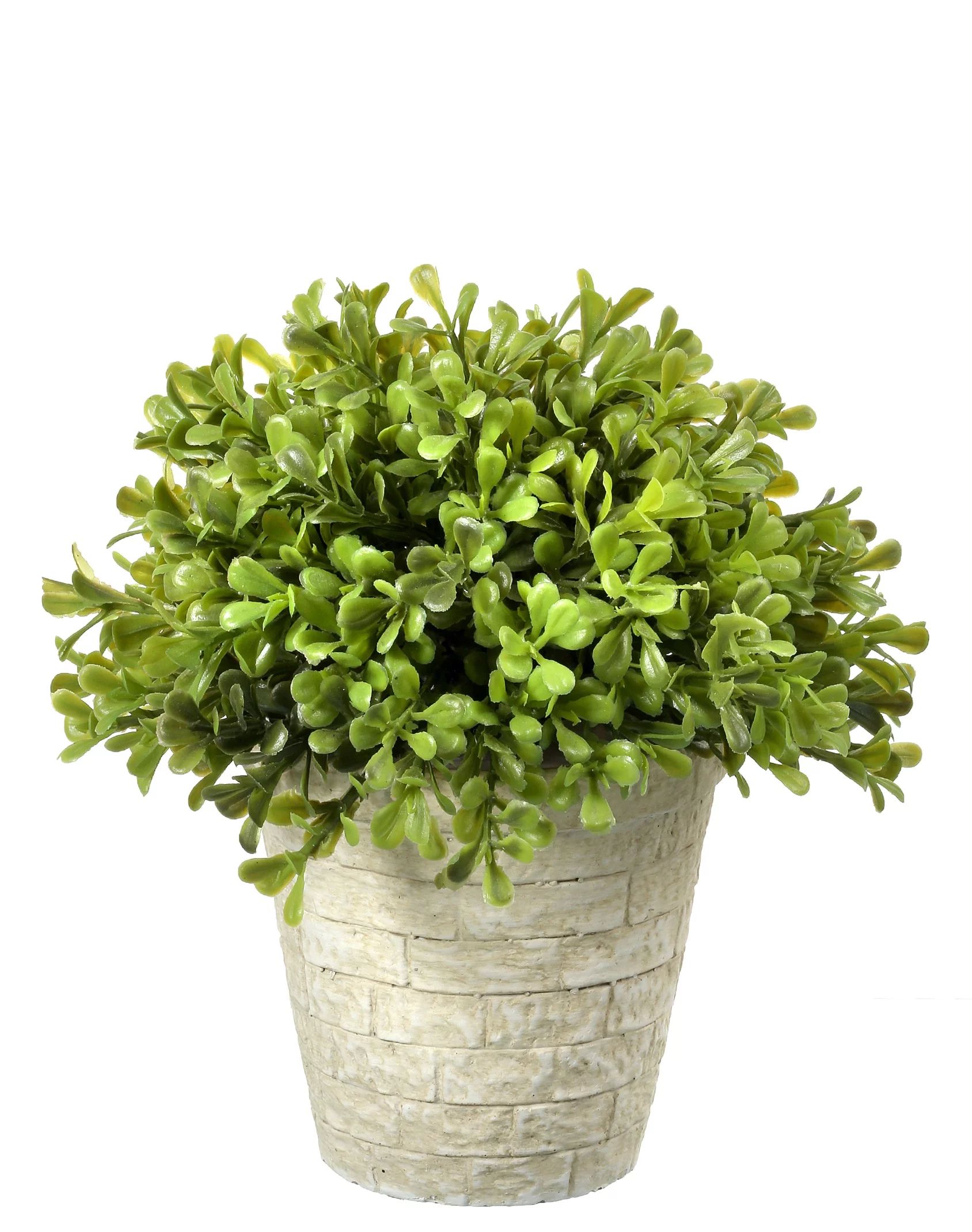 Regency Spring Artificial Boxwood Dome Topiary 8" - Walmart.com | Walmart (US)