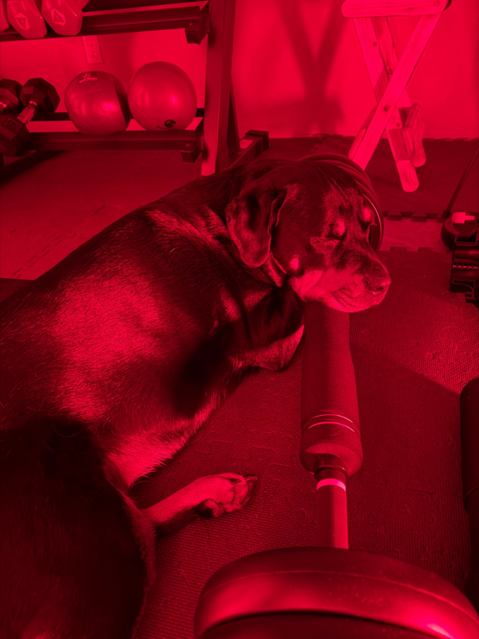 😍😍

#LTKGiftGuide #LTKdayinmylife #LTKHoliday