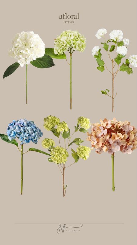 New hydrangea stems, all from Afloral.




Faux hydrangeas, faux flowers, faux stems 

#LTKhome #LTKfindsunder100 #LTKstyletip